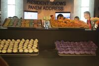 
	Comic-Con 2014: Hunger Games Capitol Gallery
