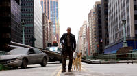 
	Going Viral: Great Movie Epidemics
