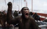 
	'Rise of the Planet of the Apes'
