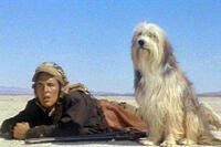 Armageddon Now! Our Favorite Post-Apocalyptic Movies