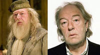 Prof. Albus Dumbledore/Michael Gambon