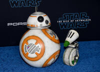 
	BB-8 and D-O
