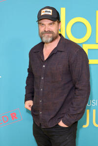 
	David Harbour
