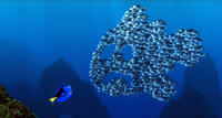 
	Fish School &ndash; &lsquo;Finding Nemo&rsquo;
