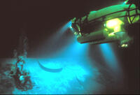 
	11 Submarine Movies You Need to Watch
