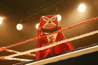 Fandango Bag Puppet Photo Gallery