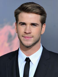 
	The Hunger Games Liam Hemsworth
