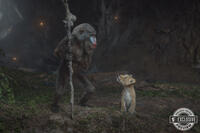 
	MUFASA: THE LION KING (December 20)
