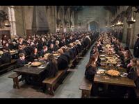 Harry Potter Trivia: Did You Know…?