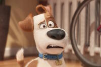 
	The Secret Life of Pets
