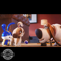 
	THE SECRET LIFE OF PETS 2 (JUN. 7)
