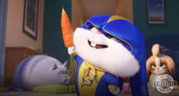 
	THE SECRET LIFE OF PETS 2 (JUNE 7)
