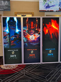 
	The Flash display
