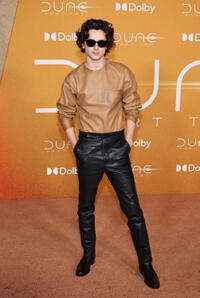 
	Timoth&eacute;e Chalamet
