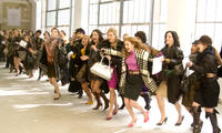 Ready for Black Friday? Watch These Shopping Movies First! 