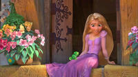 Disney's Princesses: What Are They Really Like?