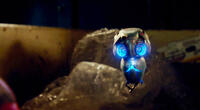 
	Echo in Earth to Echo
