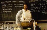 9. The Nutty Professor