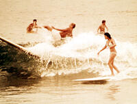 #1 - The Endless Summer