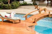Beverly Hills Chihuahua - Adventure/Comedy - 10/03