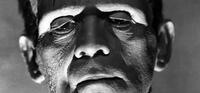 
	The Evolution of Frankenstein's Monster
