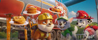 
	PAW PATROL: THE MOVIE (August 20)
