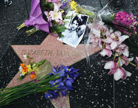 Liz Taylor: 10 Memorable Movie Roles