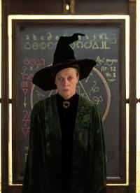 Top Harry Potter Villains and Heroes
