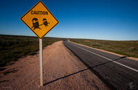 
	Caution: Minion Crossing
