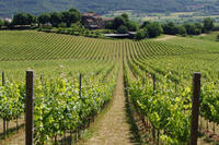 
	Letters to Juliet Locations
