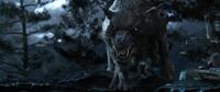 
	A Character Guide to 'The Hobbit'
