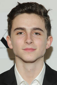 Timothee Chalamet at the premiere of "The Adderall Diaries" during the 2015 Tribeca Film Festival.