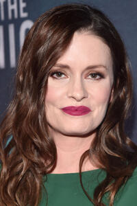 Jamie Anne Allman at the premiere of TNT's "I Am The Night" in Los Angeles.