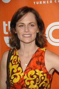 Sarah Clarke at the 2008 Summer TCA Tour Turner Party.