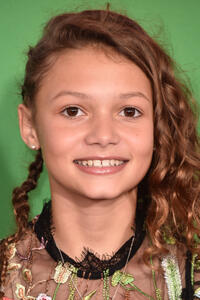 Didi Costine at the premiere of "Daddy's Home 2" in Westwood, California.