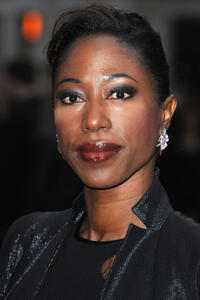 Nikki Amuka-Bird at the European Premiere of "The Invisible Woman" during the 57th BFI London Film Festival.