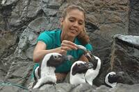 Jessica Alba in "Good Luck Chuck."