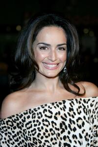 Ana de la Reguera at the premiere of "Babel."