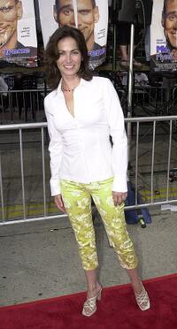 Kim Delaney at the premiere of the "Me, Myself & Irene".