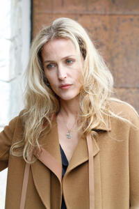 Gillian Anderson as Kristin Jansen in "Sister."