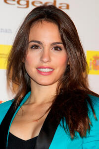 Veronica Echegui at the Jose Maria Forque 2012 Awards in Spain.