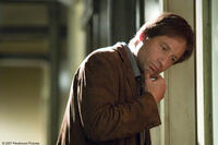 David Duchovny in "Things We Lost in the Fire."