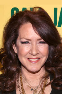 Joely Fisher at the Los Angeles premiere of "Call Jane".