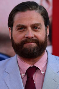 Zach Galifianakis at the Hollywood premiere of "The Campaign."