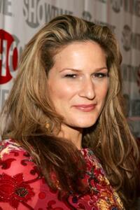 Ana Gasteyer at the Showtimes TCA Press Tour party.