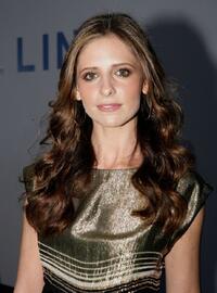 Sarah Michelle Gellar at the 2007/8 Chanel Cruise Show.