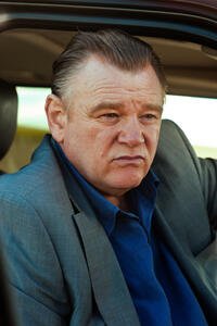Brendan Gleeson in ``Safe House.''