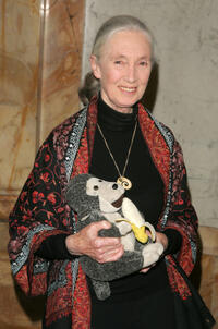 Jane Goodall at the Wings WorldQuest 2007 Women Of Discovery Awards Gala in New York.