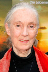 Jane Goodall at the photocall of "Jane's Journey" during the Munich Film Festival.