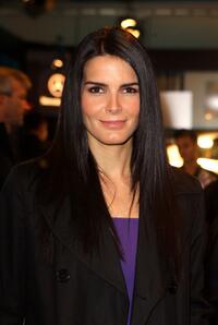 Angie Harmon at the Mercedes-Benz Fashion Week Fall 2008.
